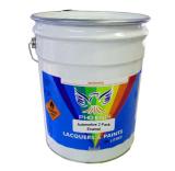 Automotive 2 Pack Enamel Automotive 2 Pack Enamel